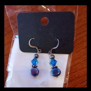 5/20 Elegant Blue and Silver Dangle Earrings